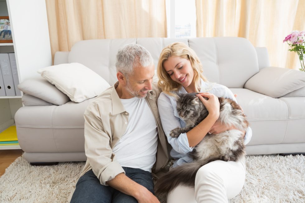 Happy Couple With Pet Cat On Floor