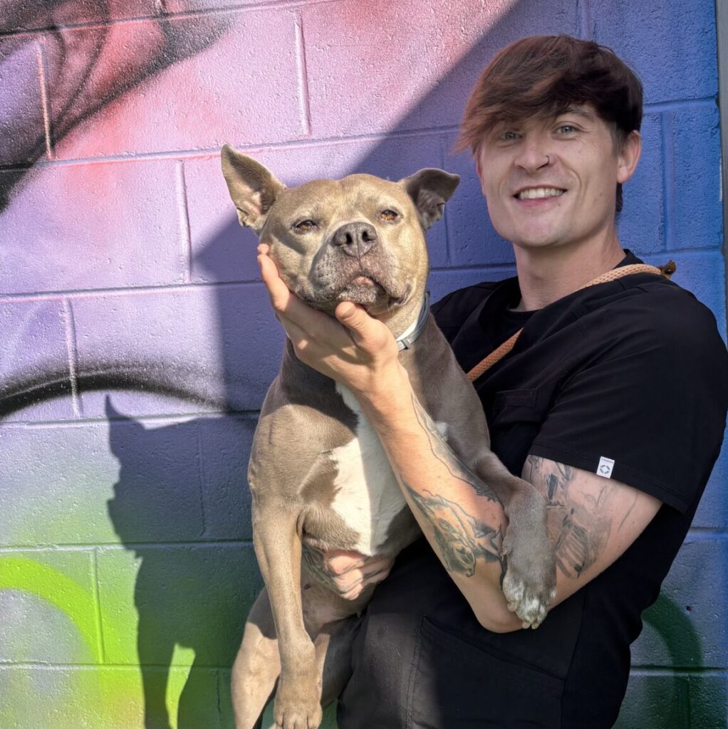 Jesse Head Of Pet Care