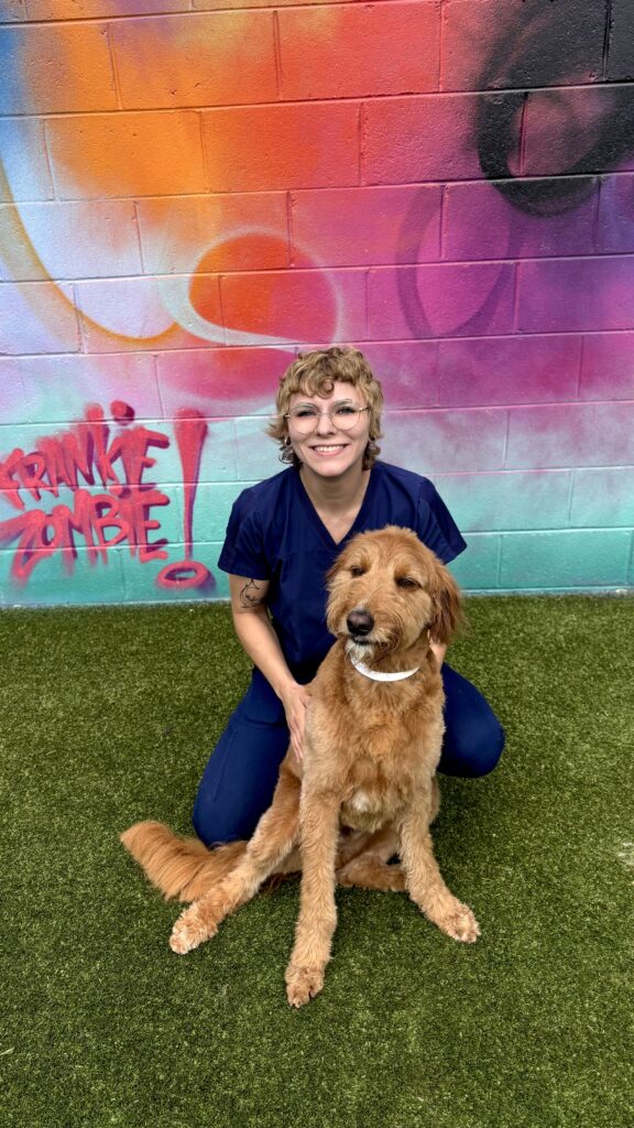Lee Pet Care Attendant