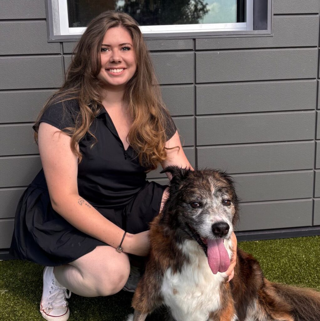 Taylor Pet Care Attendant