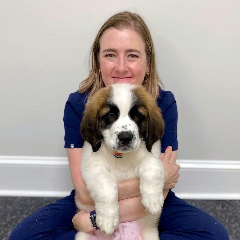 doctor holding puppy